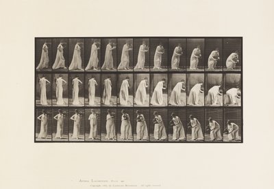 Lauta 205. Kanto ja kumartuminen maljakon kanssa, 1885 tekijältä Eadweard Muybridge