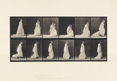 Kilpi 207. Kumartuva ja nostava juna, 1885 tekijältä Eadweard Muybridge