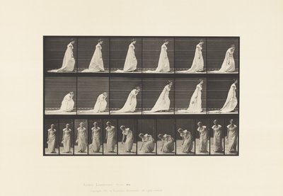 Levy 209. Käsiliinan kumartaminen ja nostaminen, 1885 tekijältä Eadweard Muybridge