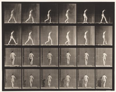 Levy 20. Kävely, oikea kyynärpää koukussa tekijältä Eadweard Muybridge