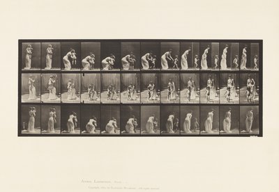 Lauta 215. Lapsen asettaminen tekijältä Eadweard Muybridge