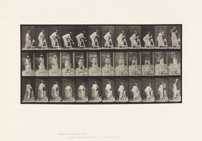 Levy 216. Taivutus vesipurkin täyttämiseksi; Purkin asettaminen päähän tekijältä Eadweard Muybridge
