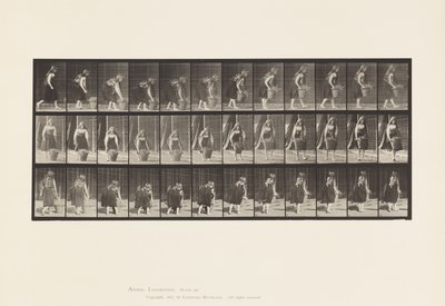Lauta 217. Kumartuminen, nostaminen ja kantaminen 30 lb:n kori, 1885 tekijältä Eadweard Muybridge