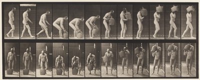 Levy 218. Kumartuminen ja koko Demijohnin nostaminen olkapäälle tekijältä Eadweard Muybridge