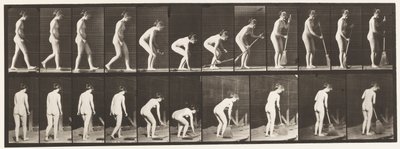 Lauta 219. Kumartaminen ja nostoharja ja lakaisu tekijältä Eadweard Muybridge