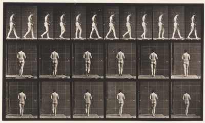 Levy 21. Kävely, molemmat kyynärpäät koukussa tekijältä Eadweard Muybridge