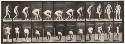Levy 220. Taivuttaminen ja nosto Liina ja kääntyminen tekijältä Eadweard Muybridge