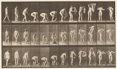 Levy 227. Nostokangas maasta,, 1872-1885 tekijältä Eadweard Muybridge