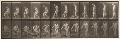 Levy 236. Diairin asettaminen ja istuminen, 1885 tekijältä Eadweard Muybridge