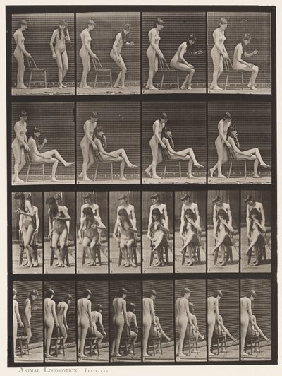 Kilpi 239. Kaksi mallia; toinen seisoo, toinen istuu, jalat ristissä tekijältä Eadweard Muybridge