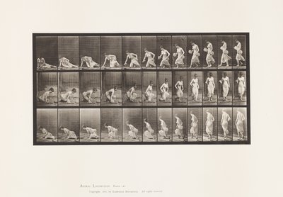 Levy 248. Istuminen maahan tekijältä Eadweard Muybridge