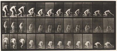 Levy 252. Polvistus oikealla polvella ja lattian hankaus, 1872-1885 tekijältä Eadweard Muybridge