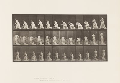 Lauta 253. Polvistuvat kyynärpäät tuolissa, kädet ristissä, 1885 tekijältä Eadweard Muybridge