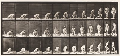 Levy 255. Syntyy polvistumisesta ja kääntymisestä tekijältä Eadweard Muybridge