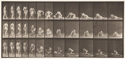Levy 256. Makaa maassa ja lukemassa, 1872-1885 tekijältä Eadweard Muybridge