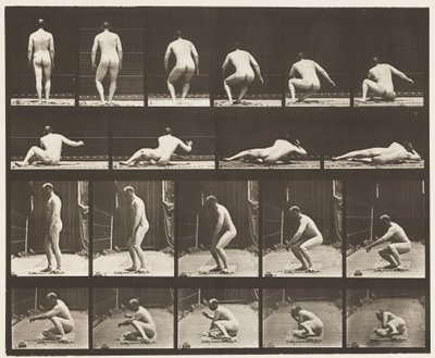 Levy 257. Makaa maassa, 1885 tekijältä Eadweard Muybridge