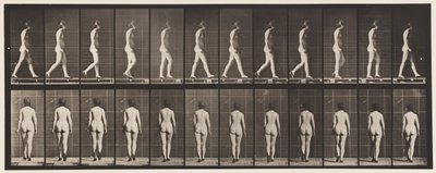 Levy 25. Kävely, korkokengät jalassa tekijältä Eadweard Muybridge