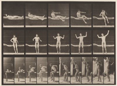 Levy 260. Nousu sohvasta ja venyttävästä käsivarresta, 1885 tekijältä Eadweard Muybridge
