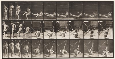 Levy 261. Pääsy riippumattoon, 1872-1885 tekijältä Eadweard Muybridge