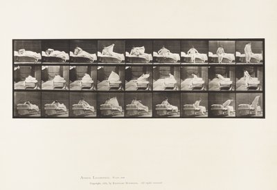Levy 265. Nouseminen sängystä ja valmistautuminen polvistumaan tekijältä Eadweard Muybridge