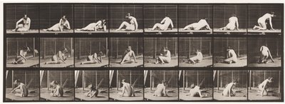 Levy 266. Kääntyminen ja asennon muuttaminen ollessaan edelleen maassa tekijältä Eadweard Muybridge