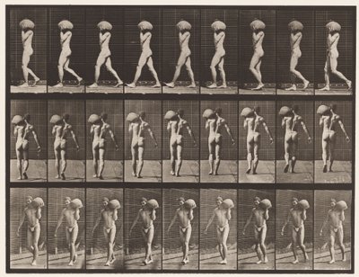 Levy 26. Kävely, 75 lb:n kiven kantaminen vasemmalla olkapäällä tekijältä Eadweard Muybridge