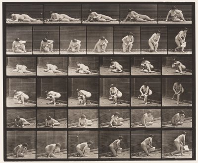 Levy 270. Maasta nouseva lehtinen vasemmassa kädessä tekijältä Eadweard Muybridge