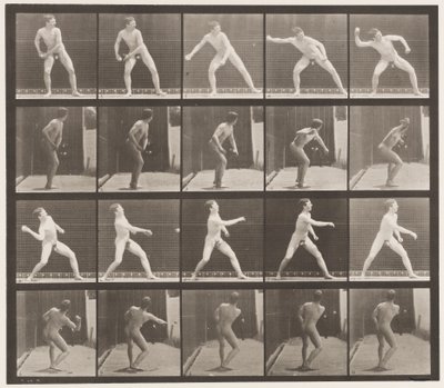 Lauta 273. Peruspallo; Pikeys tekijältä Eadweard Muybridge