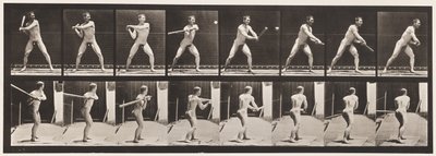 Lauta 279. Peruspallo; Batting, 1885 tekijältä Eadweard Muybridge