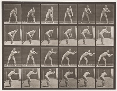 Lauta 280. Peruspallo; Kiinnitys, 1885 tekijältä Eadweard Muybridge
