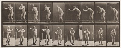 Lauta 281. Peruspallo; Sieppaus ja heittäminen tekijältä Eadweard Muybridge