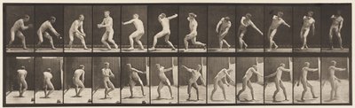 Lauta 284. Peruspallo; Sieppaus ja heittäminen, 1885 tekijältä Eadweard Muybridge