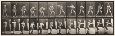 Lauta 285. Peruspallo; Sieppaus ja heittäminen tekijältä Eadweard Muybridge