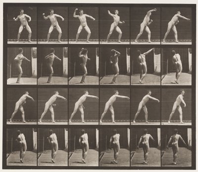 Lauta 286. Peruspallo; Heittää tekijältä Eadweard Muybridge