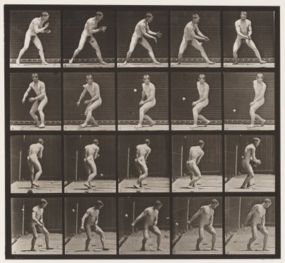 Lauta 288. Baseball; Virhe tekijältä Eadweard Muybridge