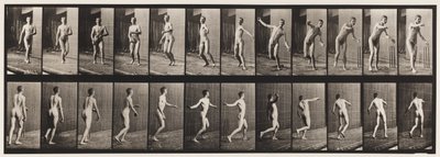 Lauta 289. Kriketti; Round Arm Bowling, 1885 tekijältä Eadweard Muybridge