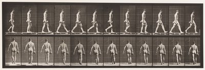 Levy 28. Kävely, 50 lb painoinen käsipaino oikeassa kädessä, 1872-1885 tekijältä Eadweard Muybridge