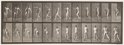 Lauta 290. Kriketti; Over Arm Bowling, 1885 tekijältä Eadweard Muybridge