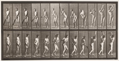 Lauta 291. Kriketti; Lyöminen; Ajaa, 1885 tekijältä Eadweard Muybridge