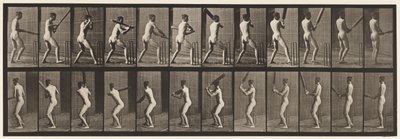 Lauta 292. Kriketti; Lyöminen; Takaisin ulos, 1885 tekijältä Eadweard Muybridge