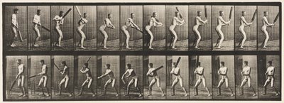 Lauta 293. Kriketti; Lyöminen; Selkäleikkaus, 1885 tekijältä Eadweard Muybridge