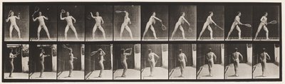 Lauta 294. Nurmikon tennis; Tarjoilu tekijältä Eadweard Muybridge