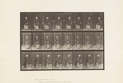 Lauta 296. Nurmikkotennis tekijältä Eadweard Muybridge