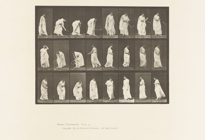 Lauta 299. Pelaaminen pallon kanssa tekijältä Eadweard Muybridge