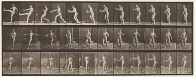 Lauta 301. Jalkapallo; Punt, 1885 tekijältä Eadweard Muybridge