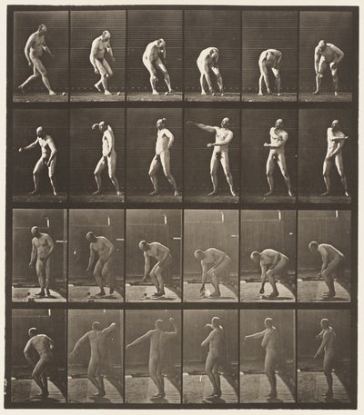 Lauta 302. Pallon poimiminen ja sen heittäminen, 1885 tekijältä Eadweard Muybridge