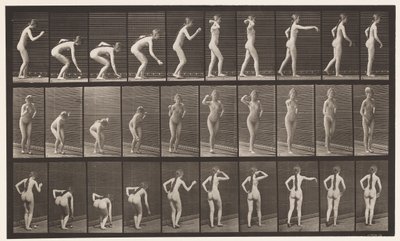 Lauta 304. Pallon poimiminen ja heittäminen tekijältä Eadweard Muybridge