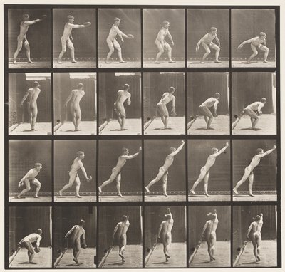 Levy 307. Rautakiekon heittäminen, 1872-1885 tekijältä Eadweard Muybridge