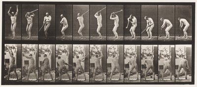 Lauta 308. Vasaranheitto, 1885 tekijältä Eadweard Muybridge