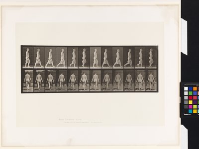 Lauta 30. Kävely, vesiämpäri kantoi kummassakin kädessä tekijältä Eadweard Muybridge